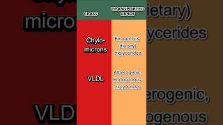 Lipoprotein classes H OLOGY [upl. by Aseel]