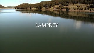 Blood Lake Attack of the Killer Lampreys 2014 Hindi Dubbed 360p [upl. by Utir]