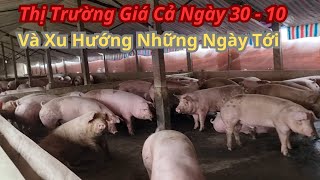 Thị Trường Giá Cả Ngày 30  10 Và Xu Hướng Những Ngày Tới [upl. by Shifrah]