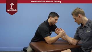 Brachioradialis Muscle Test Palpation Dr Vizniak Muscle Manual [upl. by Hester]