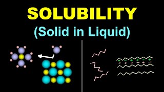 SOLUBILITY of Solid in Liquid 🔴 Solutions 31 🔴 Class 12 Chemistry [upl. by Edan972]