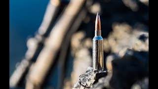 New Cartridge The 68 Western is a Versatile Hunting Round from Browning and Winchester [upl. by Nivk]