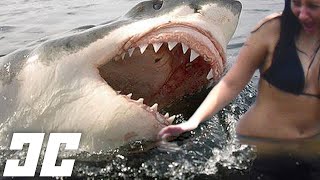 The Most BRUTAL Shark Attacks [upl. by Annim]