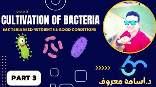 شرح ميكروبيولوجي 11 Environmental requirements for bacterial growth cultivation 3 د أسامة معروف [upl. by Lednahs]