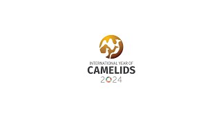 Año Internacional de los Camélidos 2024 [upl. by Alphonsine]