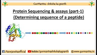 PROTEIN SEQUENCING amp ASSAYS  N amp C TERMINAL AMINO ACID ANALYSIS  PART1 [upl. by Ilona937]