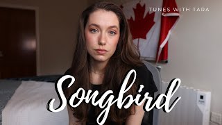 Medical Student Sings SONGBIRD  Tunes with Tara  Tara Jamieson Covers Eva Cassidy amp Fleetwood Mac [upl. by Ahc]