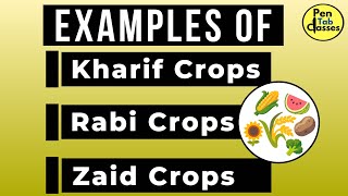 Crops Rabi  Kharif  Zaid Examples [upl. by Eyahsal682]