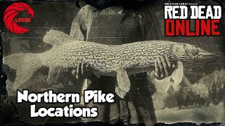 Northern Pike Locations rdr2 Online  Red Dead Online Northern Pike Location Guide [upl. by Yekcaj]