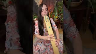 The deepest sounds calm relax flute [upl. by Learsi]