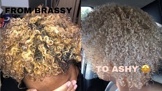 HOW TO TONE YOUR BLEACHED HAIR  FROM BRASSY TO ASHY [upl. by Witcher416]