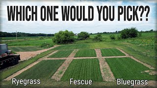 Which GRASS TYPE Is BEST For You And Your Lawn [upl. by Urson79]