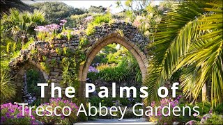 The Palms of Tresco Abbey Gardens [upl. by Llewon719]