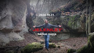 Farkas napja október 31 [upl. by Roselin]