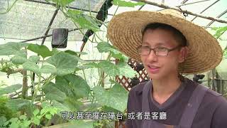 【魚菜共生】請魚來種菜｜都市農夫不是夢 我們的島 第714集 20130708 [upl. by Ttreve]