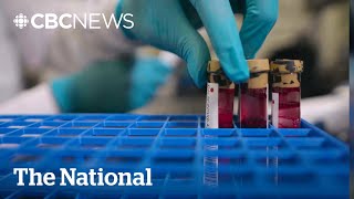 2100 cancer blood test is now available in Canada – but is it effective [upl. by Ecirad]