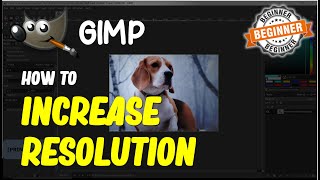 Gimp How To Increase Resolution [upl. by Ellerad]