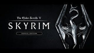 Elder Scrolls V Skyrim [upl. by Nwahsem153]