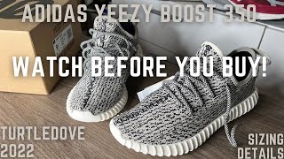 Adidas Yeezy 350 Turtle Dove 2022 Dont Go True To Size On Feet Review [upl. by Jaban]