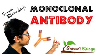 Monoclonal antibody  monoclonal antibody production using hybridoma technology [upl. by Nonek552]