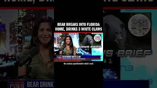 Threelegged bear in Florida throws its own White Claw party [upl. by Obala]