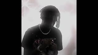 Playboi Carti  Ginseng extended [upl. by Fira]