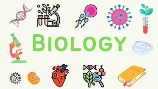 7 A Level Biology  Energy and Respiration Part 2 ⚡ [upl. by Lune207]