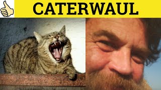 Caterwaul Caterwauling  Caterwaul Meaning  Caterwauling Examples  Caterwaul Definition [upl. by Ralaigh]