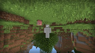 Upside Down Minecraft [upl. by Gilda117]