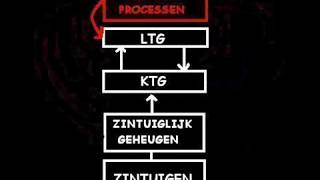 multistore model [upl. by Uyerta]