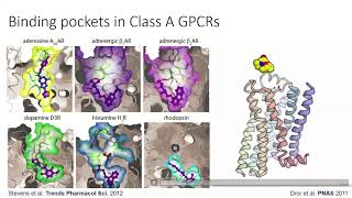 webinar recording remote control of G proteincoupled receptor function [upl. by Clayborne]