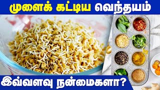 Benefits Of Mulaikattiya Venthayam  IBC Health [upl. by Schultz]