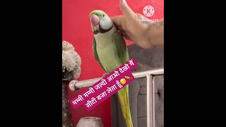 Mummy Bolne Wala Parrot 🦜 birds funny parrot comedy viralshorts youtubeshorts shorts [upl. by Eenram]