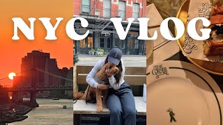 new york city fall vlog  new car  corner store  apt updates [upl. by Myrtia]