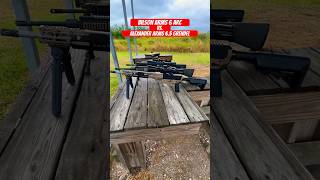 Bilson Arms 6 Arc vs Alexander Arms 65 Grendel [upl. by Akienahs46]