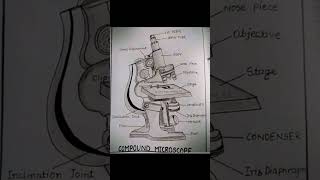 Microscope 🔬pw neet neetwallah neetpreparation [upl. by Atinar]