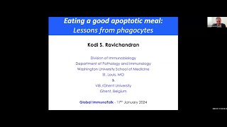 quotHow to eat a good apoptotic meal – lessons from phagocytesquot by Dr Kodi Ravichandran [upl. by Eceinej698]