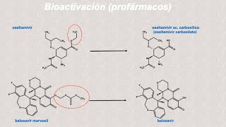 OseltamivirBaloxavir marboxil antivirales vs influenza síntesis introducción [upl. by Gnidleif]