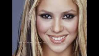 best of shakira 2013 remix megamix dance club pop [upl. by Cchaddie]