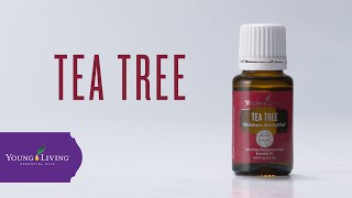 Quando e come utilizzare il tea tree oil [upl. by Neva]