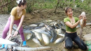 Full Video Fishing Techniques in The Wild How to Fishing in The Wild Harvest Many Big Fish [upl. by Eclud]