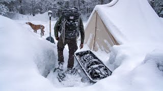 WINTER CAMPING in a Canvas Tent with My Dog using a Wood Stove for Heat and Cooking [upl. by Ellohcin]