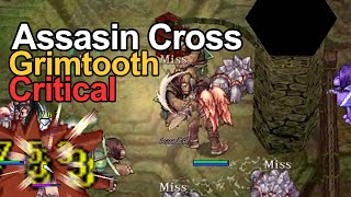 Ragnarok Classic GGT │ Assasin Cross Cri Grimtooth │ Road to 100 M Zeny  EP19 [upl. by Windsor]