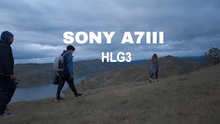 Cinematic Video  Sony A7III HLG3 [upl. by Decrem]