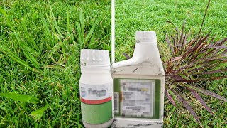 Testing Powerful Weed Control Combo on Dallisgrass Crabgrass and Other Tough Weeds [upl. by Robenia189]