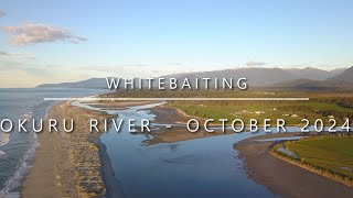 Whitebaiting the Okuru River Haast  October 2024 069 [upl. by Llertnor]