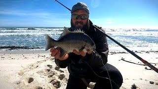 How to Fishing for Galjoen on the West Coast Water reading and Bait presentation Day1 [upl. by Sascha]