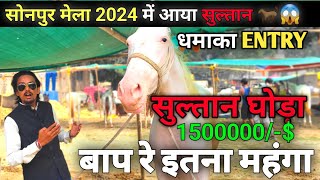 SONPUR MELA 2024  इस साल का सबसे 🔥महंगा घोड़ा  सोनपुर मेला में आया सुल्तान घोड़ा😱  घोड़ा बाजार [upl. by Towney442]