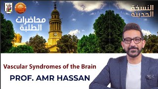 Vascular Syndromes of the Brain  أدعمرو حسن الحسني أستاذ المخ والأعصاب [upl. by Eellek]