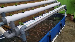 DIY  How to make Simple RAS system Tilapia Ponds  Aquaponic System part 2 [upl. by Imaj]